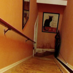 Review Film The Staircase: Kasus Misterius Kathleen Peterson